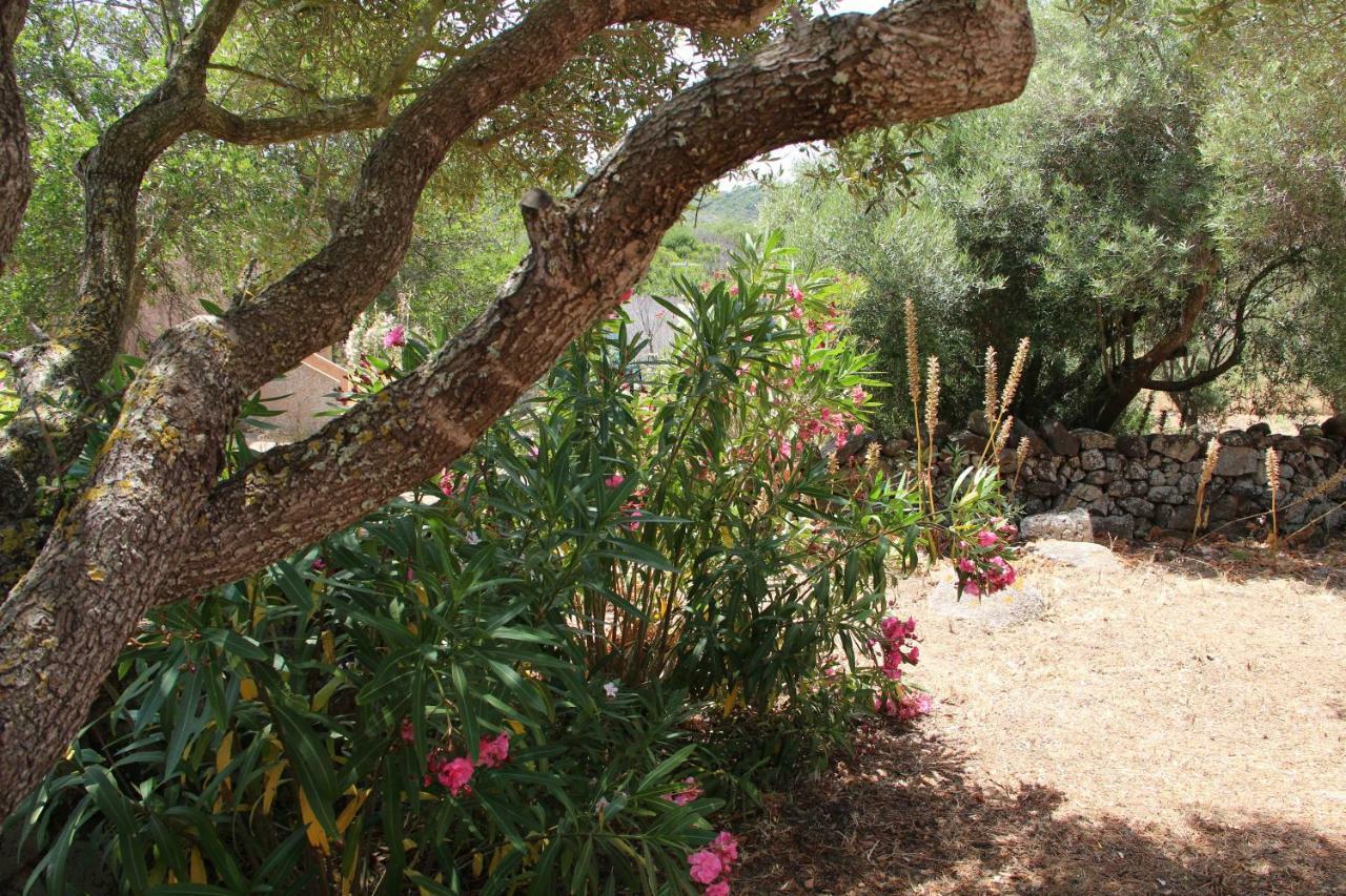 Le 25 Tartarughe Bed & Breakfast Санта Тереза Галура Екстериор снимка