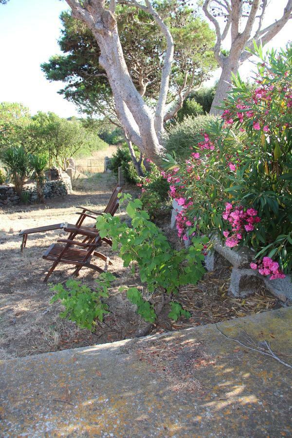 Le 25 Tartarughe Bed & Breakfast Санта Тереза Галура Екстериор снимка