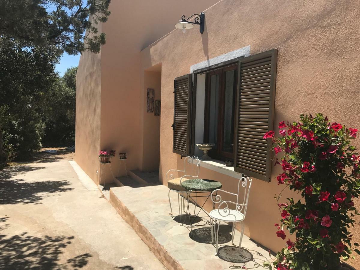 Le 25 Tartarughe Bed & Breakfast Санта Тереза Галура Екстериор снимка